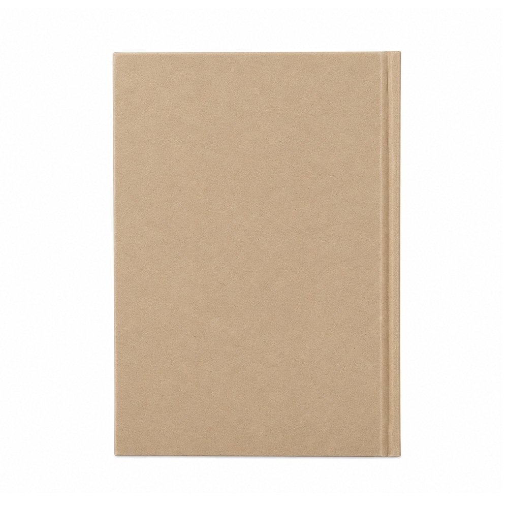 Agenda Diaria 19893d3